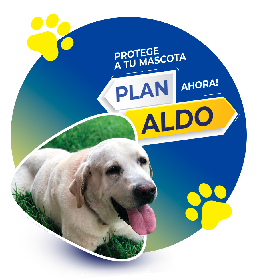 ALDO-PLAN